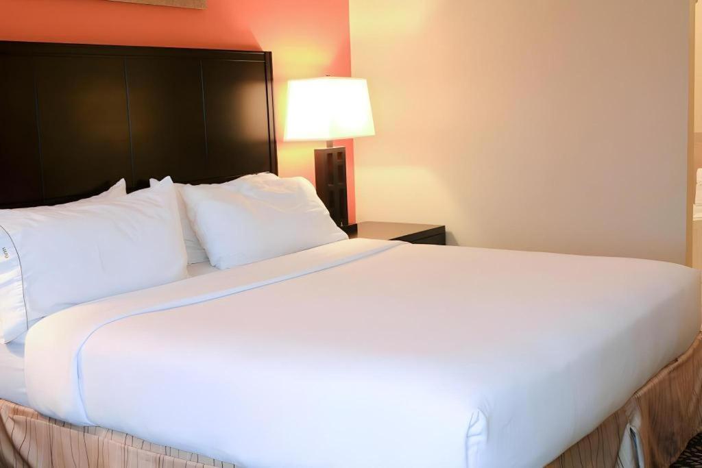 Holiday Inn Express Hotel & Suites Grand Island By Ihg Buitenkant foto
